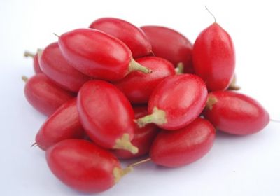 fresh miracle berries